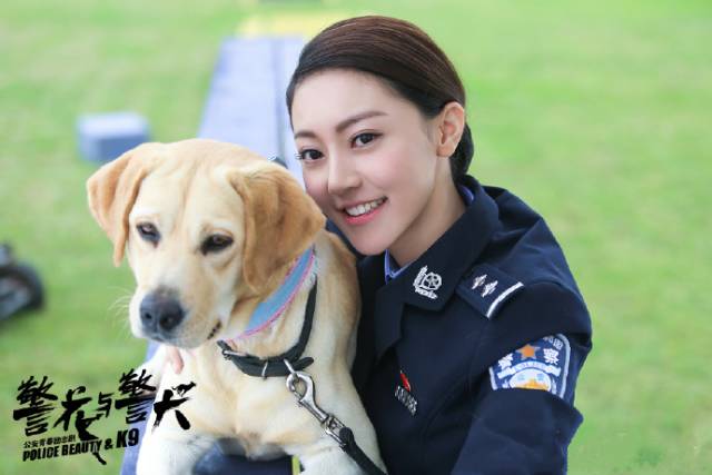 警花與警犬2，熱血瞬間與情感交織的在線觀看體驗(yàn)