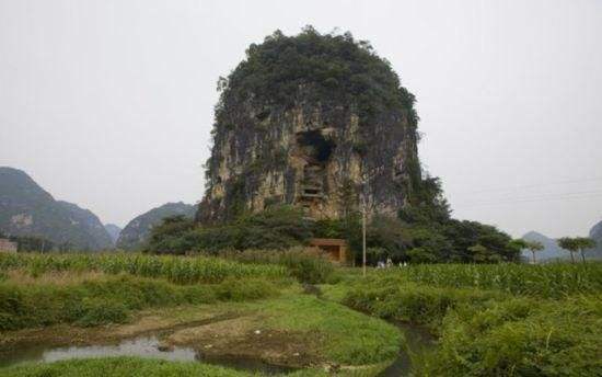 天等向都鎮(zhèn)最新動(dòng)態(tài)全面解析