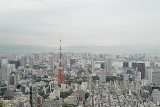 東京塔，歷史印記與現(xiàn)代風(fēng)貌的融合之旅