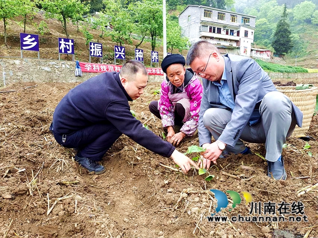 敘永縣觀興鎮(zhèn)最新動(dòng)態(tài)