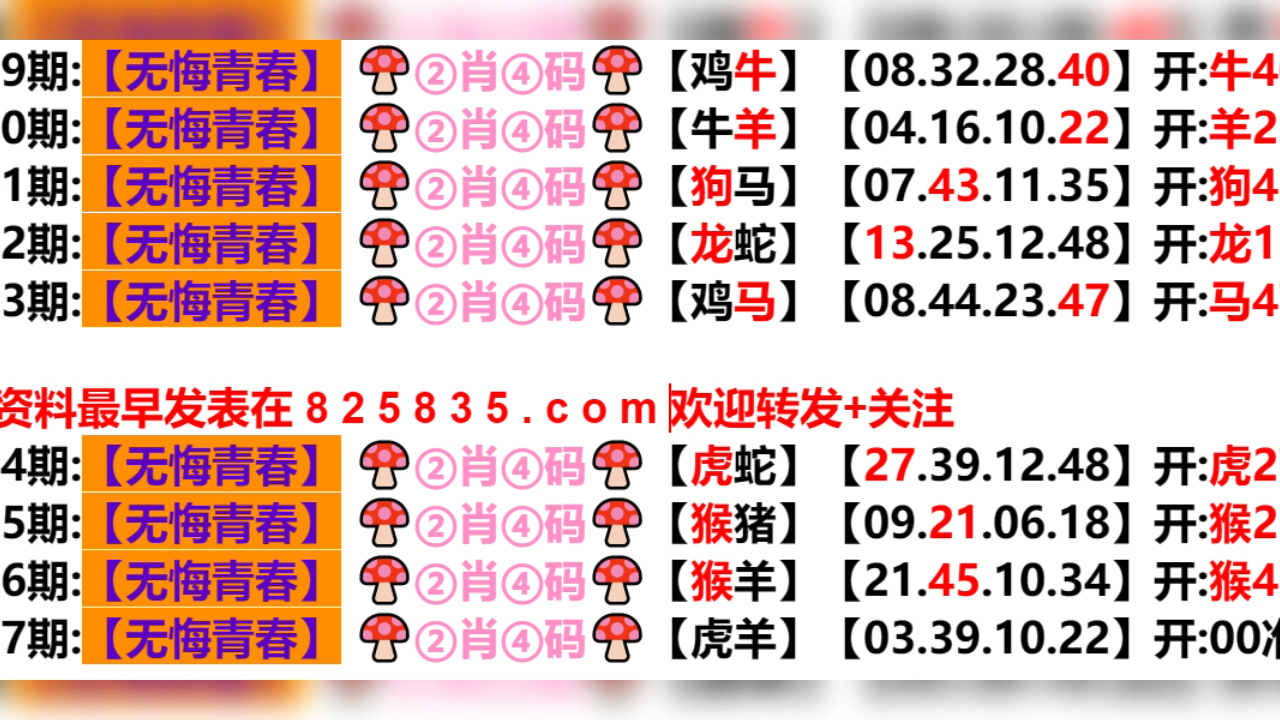 2024年新奧門天天開彩,最新核心解答落實_P版94.713