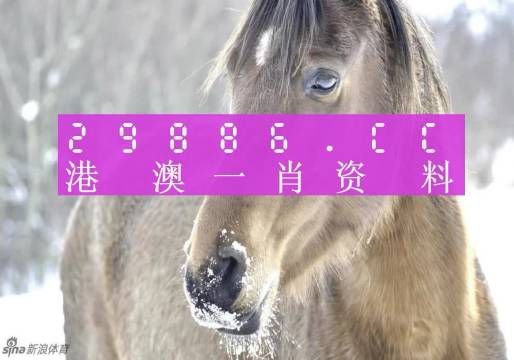 澳門一肖一碼100%精準(zhǔn),動(dòng)態(tài)詞語(yǔ)解釋落實(shí)_FHD版48.530