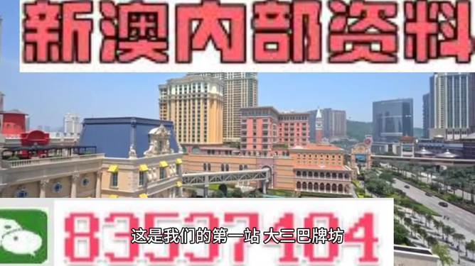 2024新澳正版免費(fèi)資料,數(shù)據(jù)解讀說明_Holo11.651