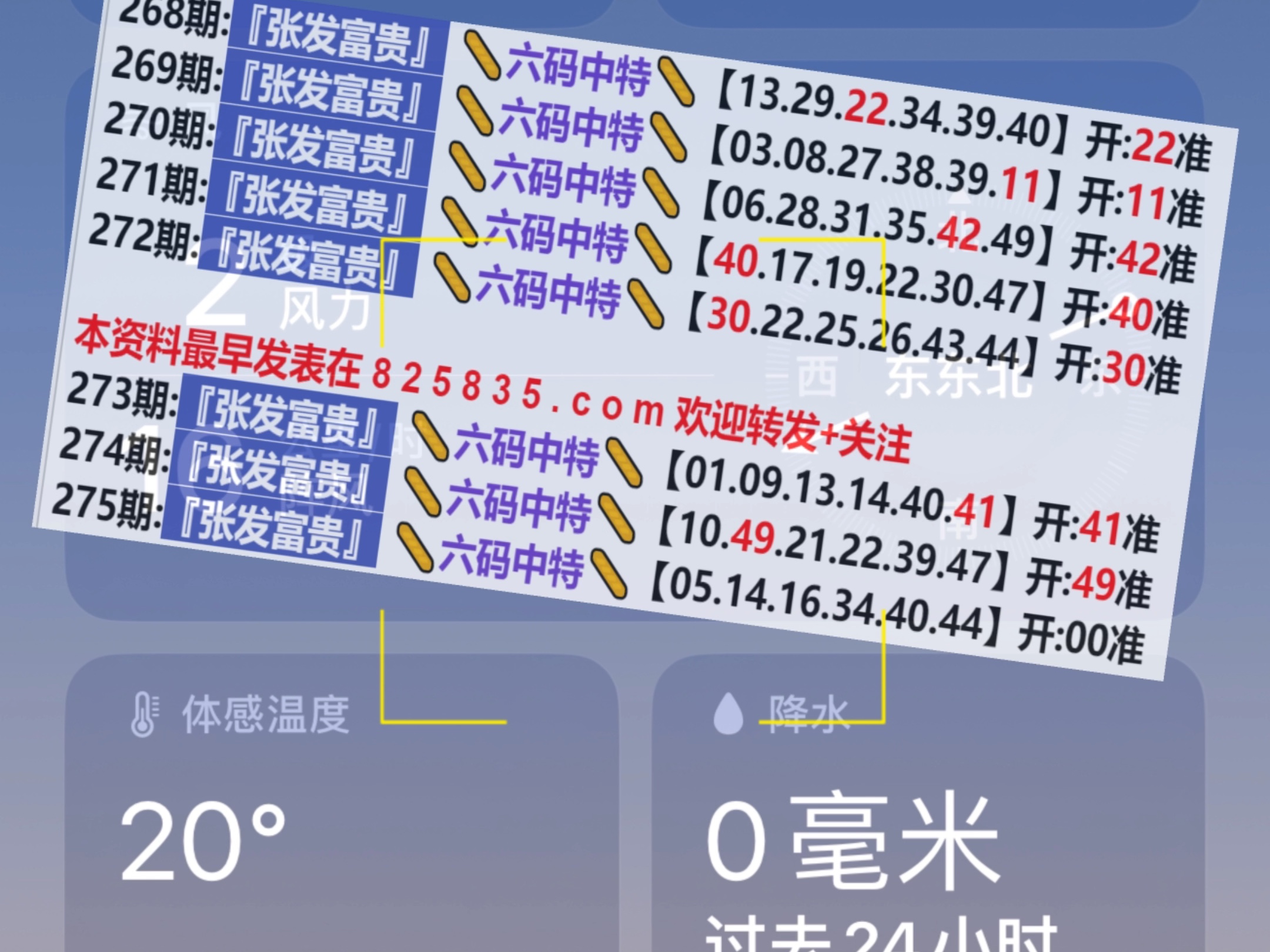 2024新奧門(mén)天天開(kāi)好彩大全85期,靈活實(shí)施計(jì)劃_網(wǎng)頁(yè)版94.224