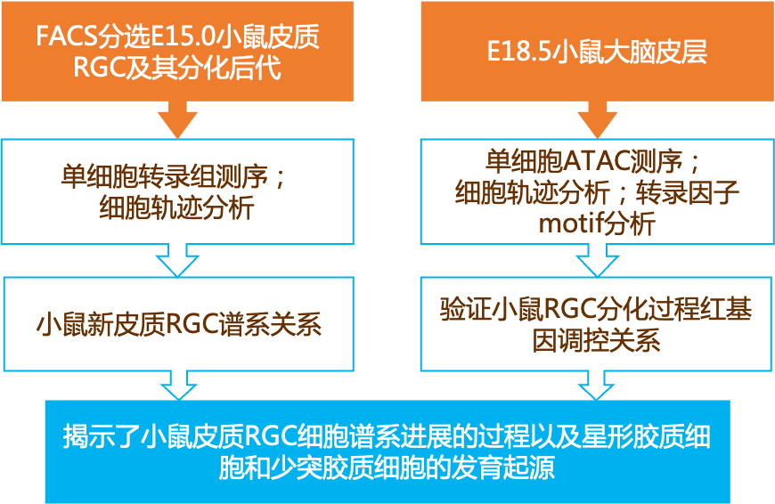 2024新奧正版資料大全免費(fèi)提供,廣泛的解釋落實(shí)方法分析_限量版92.465