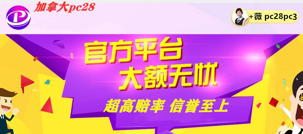 大白PC28智能預(yù)測新世界，探索未來的智能預(yù)測之旅