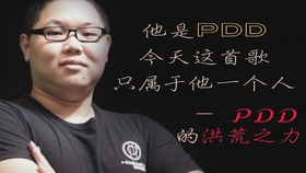 PDD洪荒之力，探索神秘力量的魅力