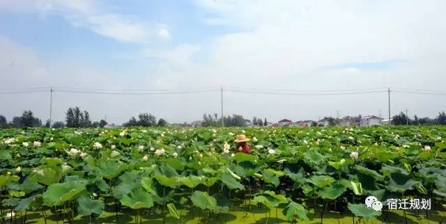 宿遷黃墩鎮(zhèn)最新動(dòng)態(tài)概覽