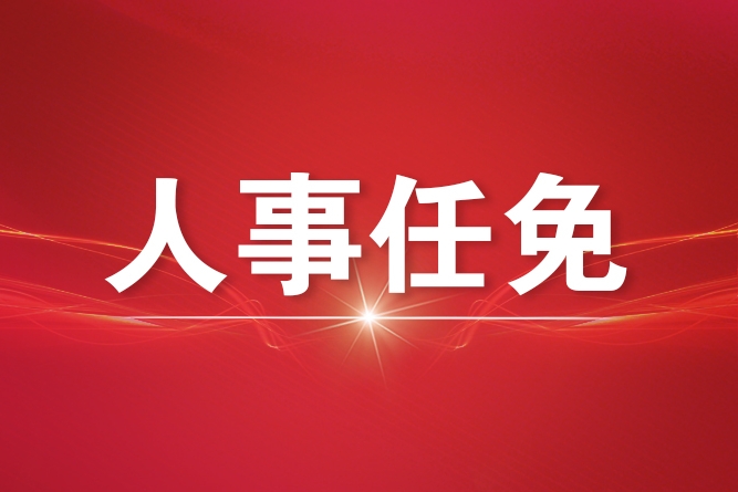 重慶市干部任免動態(tài)更新及其潛在影響分析