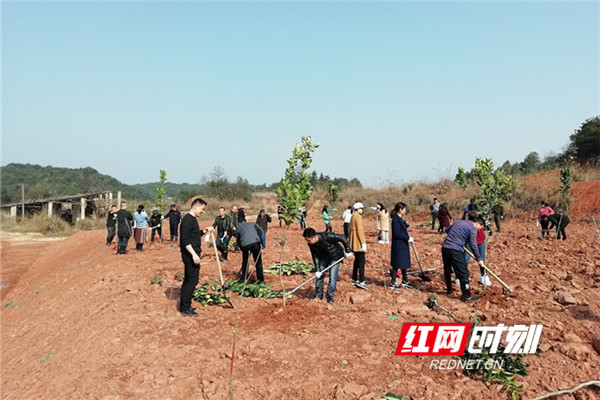 長沙雨花跳馬地區(qū)，城市發(fā)展的活力之源與未來展望最新消息