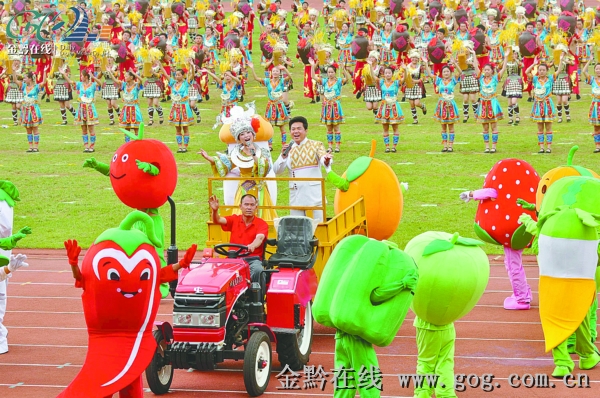 2016農(nóng)運(yùn)會(huì)最新動(dòng)態(tài)，賽事進(jìn)展、亮點(diǎn)搶鮮看