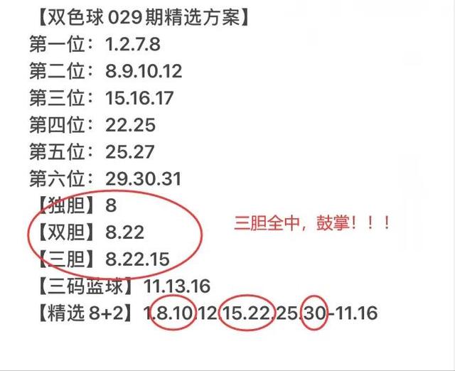 排三家彩最新雙膽策略深度解析與探索