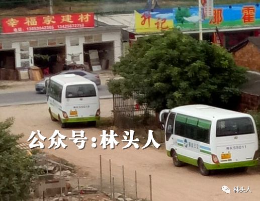 電白公交車最新路線一覽