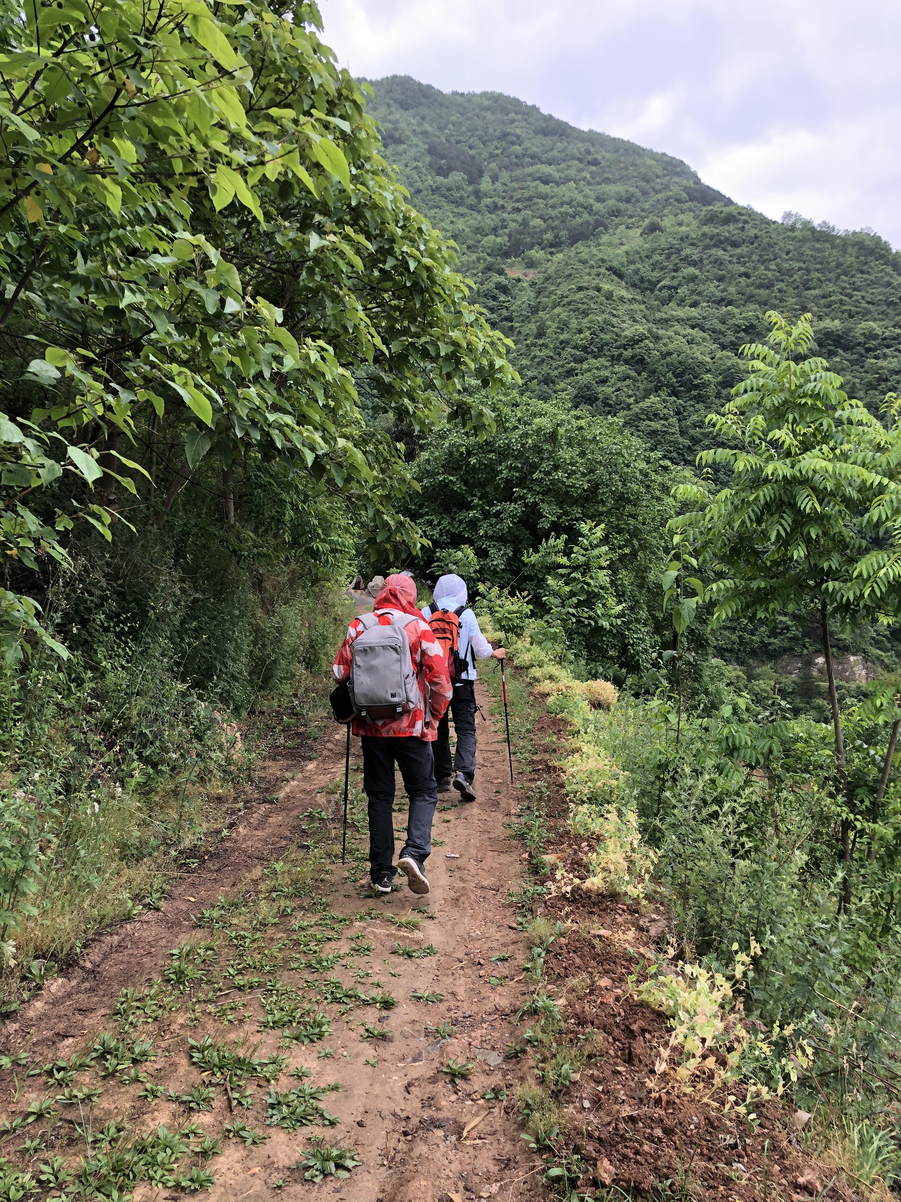 橋頭村民委員會最新天氣預(yù)報