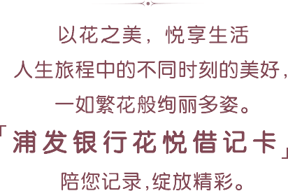 文化與禮儀的交融盛宴，最新一期這廂有禮精彩呈現(xiàn)