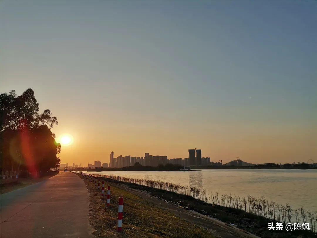 順德碧桂園鳳凰灣最新房價