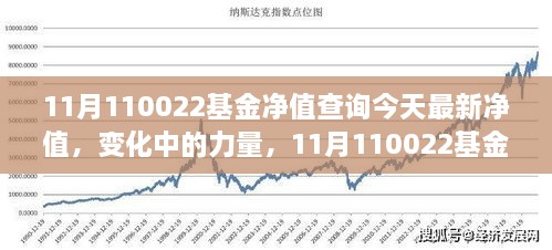 001113基金今日最新凈值查詢報告