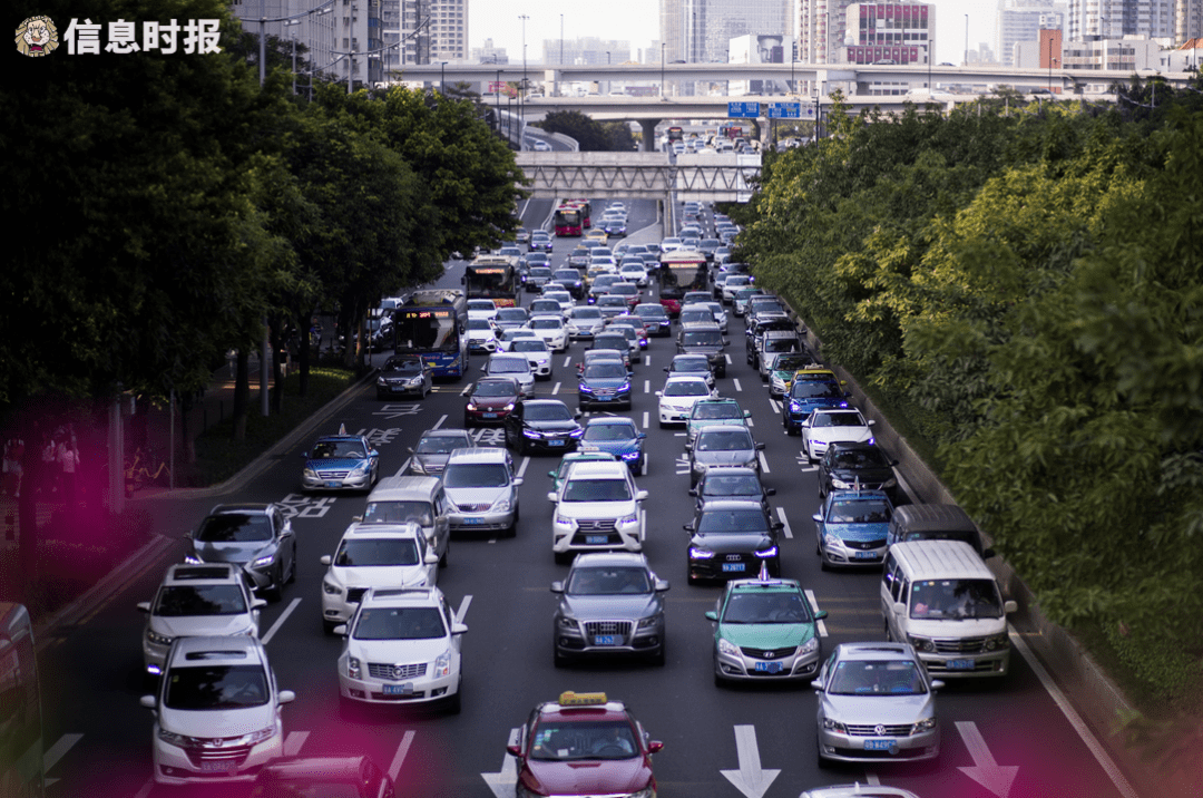 深圳車牌搖號最新動態(tài)，政策調(diào)整與市場深度分析