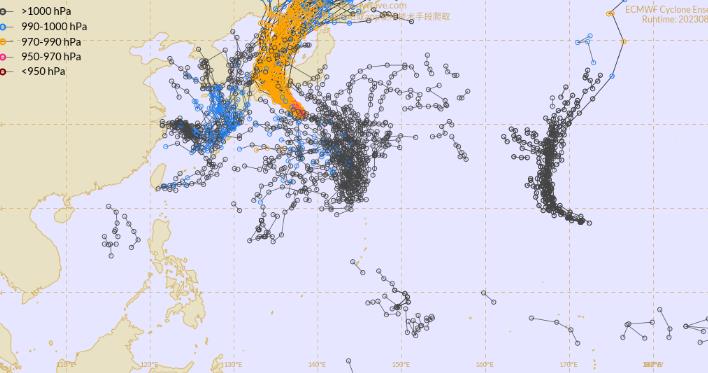 2023年最新病毒叫啥名