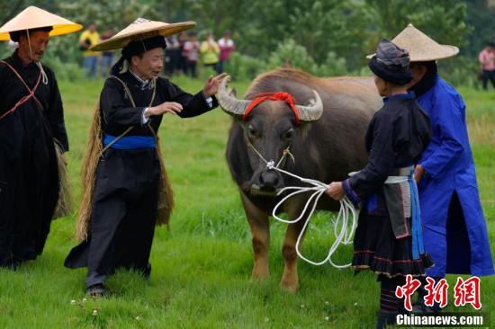 紫云苗族布依族自治縣文化廣電體育和旅游局最新發(fā)展規(guī)劃