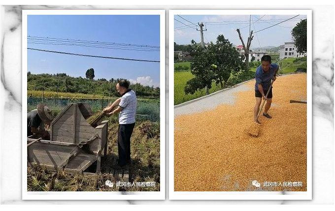 武岡市城區(qū)最新規(guī)劃圖，塑造未來城市的宏偉藍圖