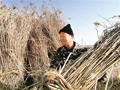 安新房屋出售最新消息全面解讀