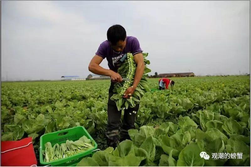 清水縣人力資源和社會(huì)保障局最新招聘信息全面解析