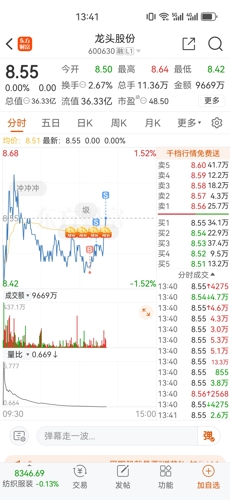 揭秘龍頭股份最新動態(tài)與發(fā)展軌跡，聚焦600630最新消息解析